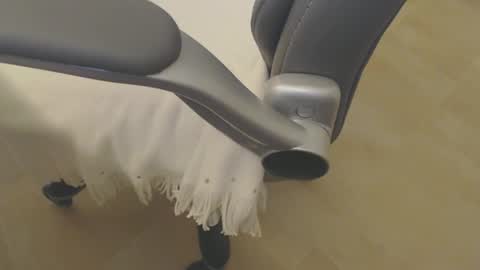 09seb09 online show from April 17, 7:28 pm