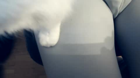 111mh online show from April 4, 10:40 pm