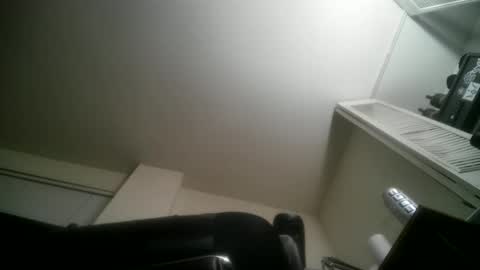 11inchtattedtrinibad online show from March 24, 10:20 am