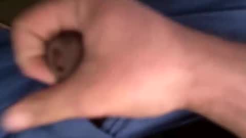 12theose online show from February 7, 10:30 am