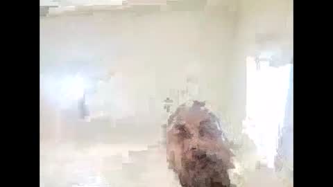 155decuzinho online show from November 12, 6:30 pm