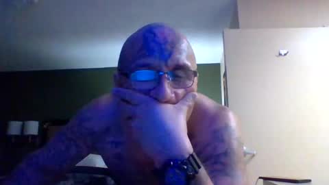 Snapshot of 1nastya8 chatting on February 8, 2:59 am TheShyOne18 online show from February 8, 2:59 am