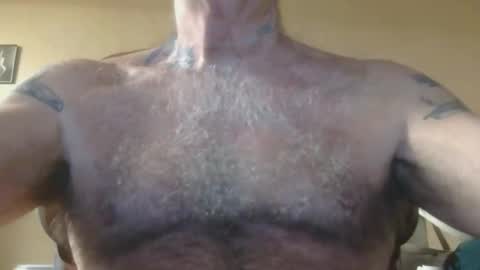 Pizza online show from November 9, 1:26 am