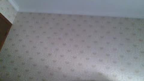 23player online show from April 22, 12:35 am