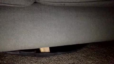 30nick online show from February 25, 5:50 am