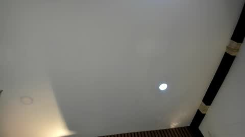 3X NAXAA online show from February 1, 1:31 pm