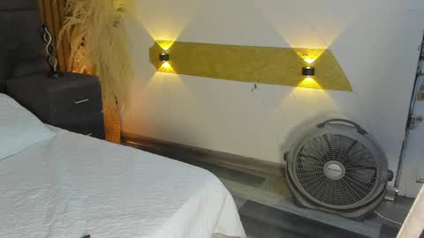 3X NAXAA online show from April 14, 1:06 pm