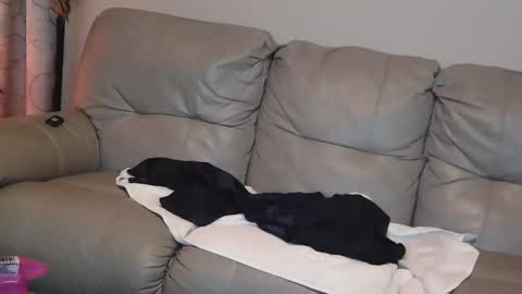 Snapshot of 4theloveofjane chatting on January 1, 8:04 pm Jane online show from January 1, 8:04 pm