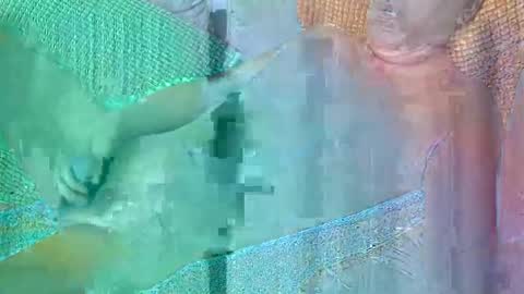 Snapshot of 56funleo chatting on October 19, 4:51 pm Daddy online show from October 19, 4:51 pm