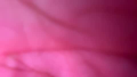 666xoxo online show from October 9, 11:41 am