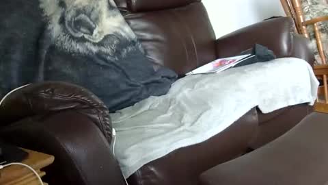 Snapshot of 66bear chatting on December 14, 3:28 pm 66bear online show from December 14, 3:28 pm