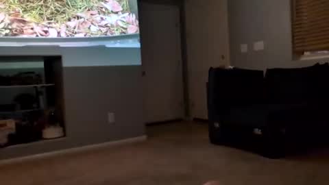 Snapshot of 69singledad79 chatting on March 10, 4:17 am 69singledad79 online show from March 10, 4:17 am