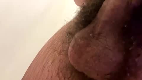 7inchwhiteeggplant online show from October 7, 7:05 am