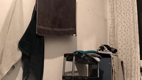 88piterr88 online show from February 25, 3:16 am