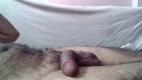 Massive hungry cock online show from July 15, 12:49 am