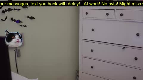 _3x7_ online show from October 7, 6:16 pm