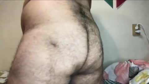 Snapshot of _alan_bear_ chatting on November 3, 6:09 pm Alan online show from November 3, 6:09 pm