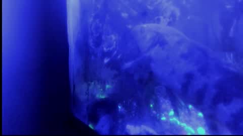 Giulia...... online show from October 29, 4:37 am