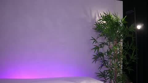 Arielle online show from March 20, 8:08 am