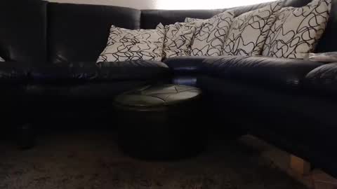 b0rn4porn online show from September 11, 12:00 am