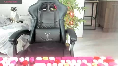 Snapshot of _feralberry__ chatting on June 20, 7:11 am Alis online show from June 20, 7:11 am