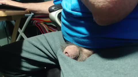 _jimmini online show from April 4, 8:28 pm