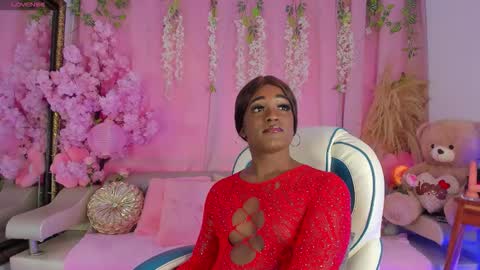 Sammy online show from November 11, 3:34 pm