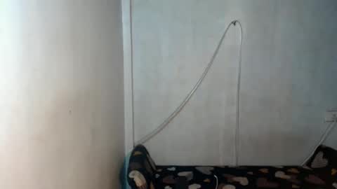 _shanexx online show from December 15, 5:34 am