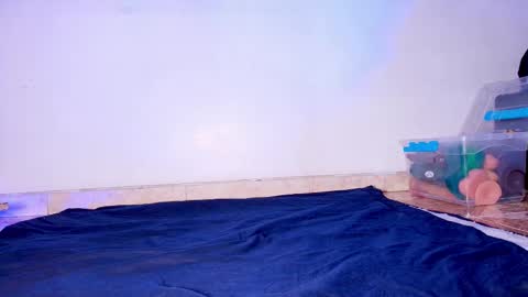 susy online show from October 27, 11:47 am