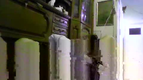 a203530 online show from February 4, 8:53 am