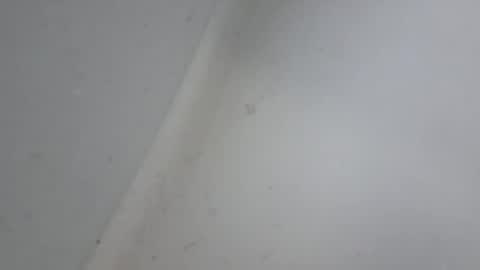 XXL online show from January 18, 10:52 am