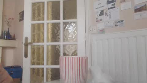 Snapshot of aalex1717 chatting on January 14, 8:53 am Aalex1717 online show from January 14, 8:53 am