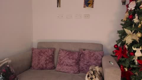 Snapshot of abbey_allen chatting on December 12, 11:36 pm Abbey IG abby allenn 04 December Online at I will be on vacation dont forget me See you soon online show from December 12, 11:36 pm