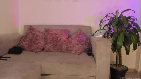 Snapshot of abbey_allen chatting on February 16, 2:53 am Abbey IG abby allenn 04 December Online at I will be on vacation dont forget me See you soon online show from February 16, 2:53 am