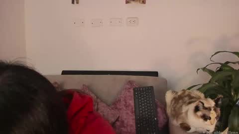 Snapshot of abbey_allen chatting on March 7, 11:38 pm Abbey IG abby allenn 04 December Online at I will be on vacation dont forget me See you soon online show from March 7, 11:38 pm