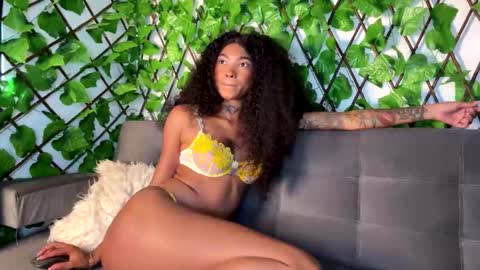 Snapshot of abbireyes chatting on November 14, 5:55 pm Barbierous abbireyes online show from November 14, 5:55 pm