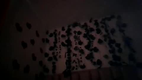 abby_moss_2 online show from April 8, 12:49 pm