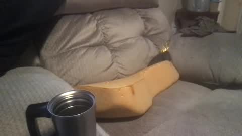 Snapshot of abe_froman2007 chatting on January 19, 4:33 am abe_froman2007 online show from January 19, 4:33 am