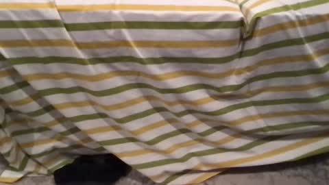 abe_froman2007 online show from February 11, 7:24 am