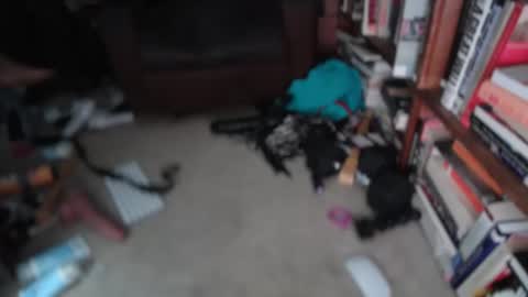 Snapshot of acacias2022 chatting on March 1, 1:24 pm aCACiAs2022 online show from March 1, 1:24 pm