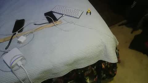 Snapshot of acacias2022 chatting on March 16, 2:17 am aCACiAs2022 online show from March 16, 2:17 am