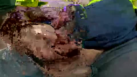 ace5003 online show from March 3, 3:45 am