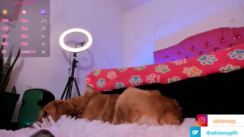 adrianny online show from September 18, 1:18 am