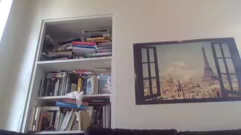Snapshot of aestheticform chatting on April 13, 8:47 pm aesthetic form online show from April 13, 8:47 pm