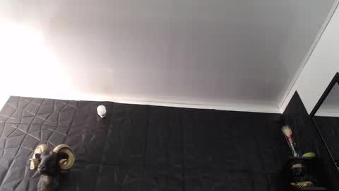  Miss Agata  online show from February 5, 5:28 pm