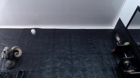 Snapshot of agata_darkness chatting on April 27, 6:17 pm Miss Agata online show from April 27, 6:17 pm