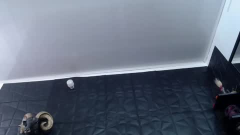 Snapshot of agata_darkness chatting on May 13, 2:03 pm Miss Agata online show from May 13, 2:03 pm