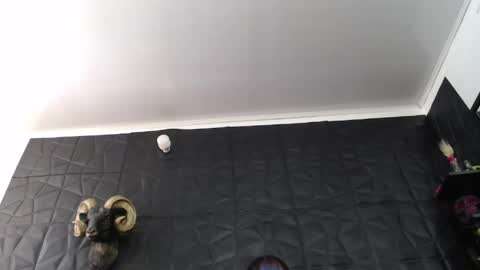 Snapshot of agata_darkness chatting on June 4, 3:40 pm Miss Agata online show from June 4, 3:40 pm