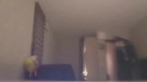 Snapshot of ahbehbi12 chatting on March 10, 7:40 pm ahbehbi12 online show from March 10, 7:40 pm