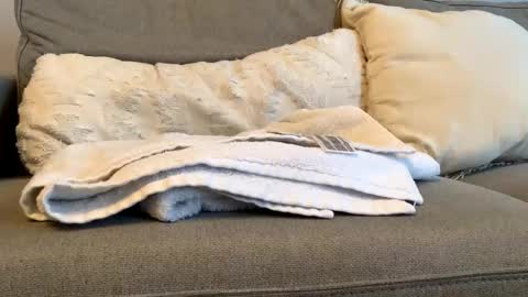 Snapshot of airmyles92 chatting on November 6, 4:52 pm canadianboy92 online show from November 6, 4:52 pm